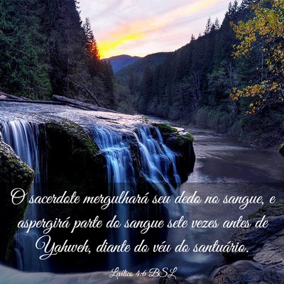 Picture 03 - Levítico 4:6 BSL - O sacerdote mergulhará seu dedo no sangue, e - Bible Verse Picture