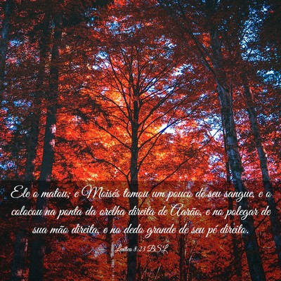 Picture 03 - Levítico 8:23 BSL - Ele o matou; e Moisés tomou um pouco de seu - Bible Verse Picture