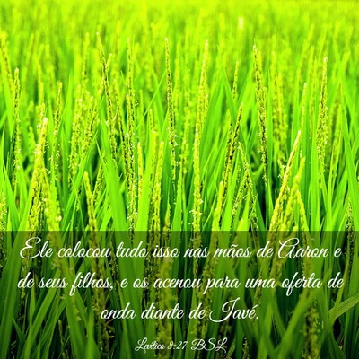 Picture 03 - Levítico 8:27 BSL - Ele colocou tudo isso nas mãos de Aaron e de - Bible Verse Picture