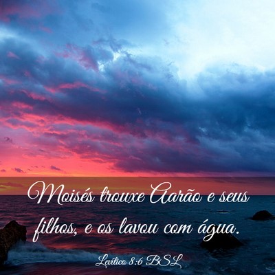 Picture 03 - Levítico 8:6 BSL - Moisés trouxe Aarão e seus filhos, e os lavou - Bible Verse Picture