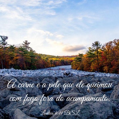 Picture 03 - Levítico 9:11 BSL - A carne e a pele que ele queimou com fogo fora do - Bible Verse Picture