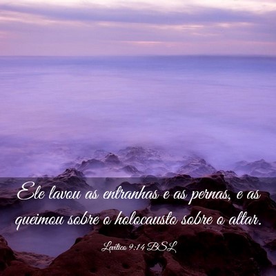 Picture 03 - Levítico 9:14 BSL - Ele lavou as entranhas e as pernas, e as queimou - Bible Verse Picture