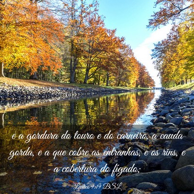 Picture 03 - Levítico 9:19 BSL - e a gordura do touro e do carneiro, a cauda - Bible Verse Picture
