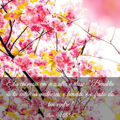 Picture 03 - Lucas 1:42 BSL - Ela chamou em voz alta e disse: “Bendita és tu - Bible Verse Picture