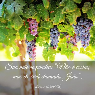 Picture 03 - Lucas 1:60 BSL - Sua mãe respondeu: “Não é assim; mas ele - Bible Verse Picture