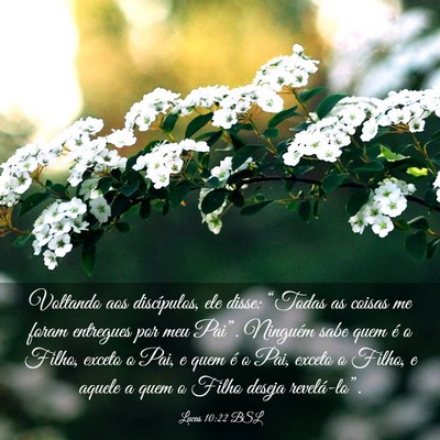 Picture 03 - Lucas 10:22 BSL - Voltando aos discípulos, ele disse: “Todas as - Bible Verse Picture