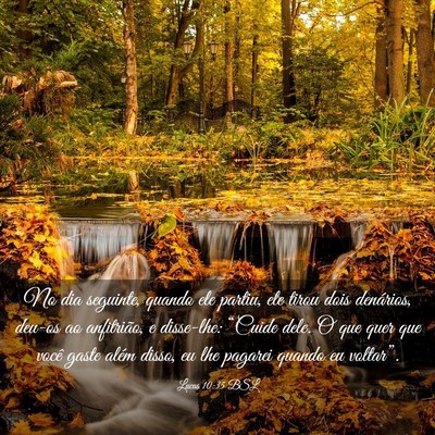 Picture 03 - Lucas 10:35 BSL - No dia seguinte, quando ele partiu, ele tirou - Bible Verse Picture