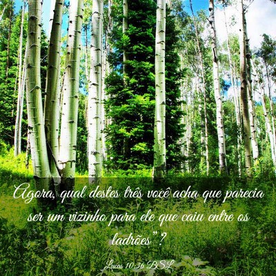 Picture 03 - Lucas 10:36 BSL - Agora, qual destes três você acha que parecia - Bible Verse Picture