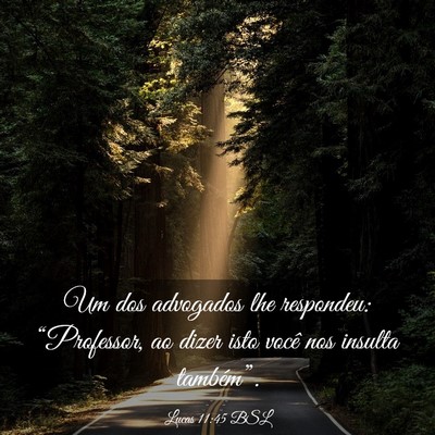 Picture 03 - Lucas 11:45 BSL - Um dos advogados lhe respondeu: “Professor, ao - Bible Verse Picture