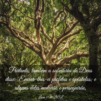 Picture 03 - Lucas 11:49 BSL - Portanto, também a sabedoria de Deus disse: - Bible Verse Picture