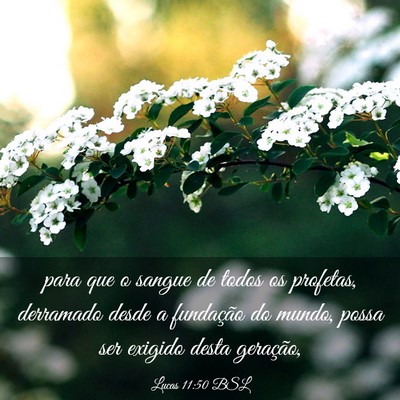 Picture 03 - Lucas 11:50 BSL - para que o sangue de todos os profetas, derramado - Bible Verse Picture