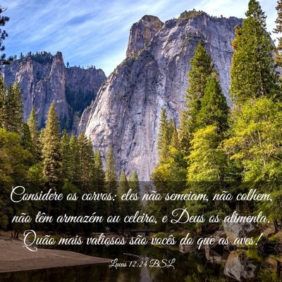 Picture 03 - Lucas 12:24 BSL - Considere os corvos: eles não semeiam, não - Bible Verse Picture