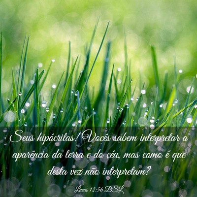 Picture 03 - Lucas 12:56 BSL - Seus hipócritas! Vocês sabem interpretar a - Bible Verse Picture