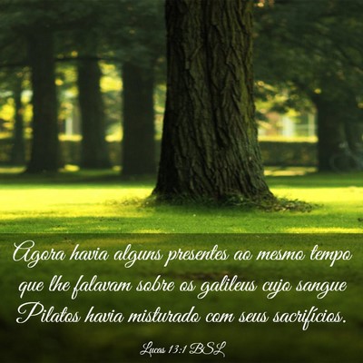 Picture 03 - Lucas 13:1 BSL - Agora havia alguns presentes ao mesmo tempo que - Bible Verse Picture