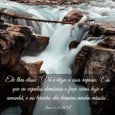 Picture 03 - Lucas 13:32 BSL - Ele lhes disse: “Vá e diga a essa raposa: 'Eis - Bible Verse Picture