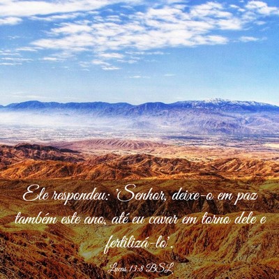 Picture 03 - Lucas 13:8 BSL - Ele respondeu: 'Senhor, deixe-o em paz também - Bible Verse Picture