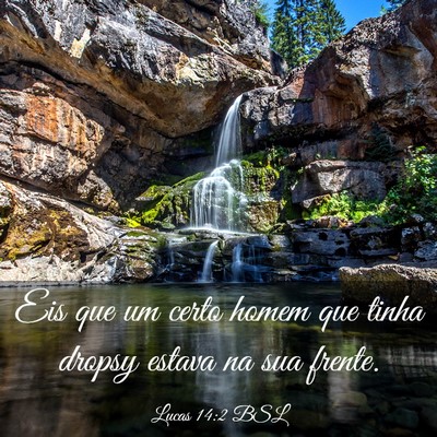 Picture 03 - Lucas 14:2 BSL - Eis que um certo homem que tinha dropsy estava na - Bible Verse Picture