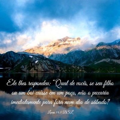 Picture 03 - Lucas 14:5 BSL - Ele lhes respondeu: “Qual de vocês, se seu - Bible Verse Picture