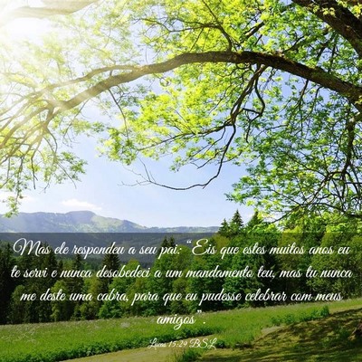 Picture 03 - Lucas 15:29 BSL - Mas ele respondeu a seu pai: “Eis que estes - Bible Verse Picture