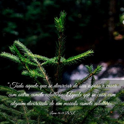 Picture 03 - Lucas 16:18 BSL - “Todo aquele que se divorciar de sua esposa e - Bible Verse Picture