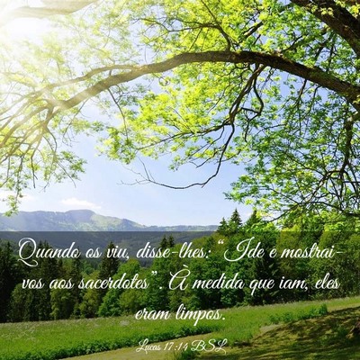Picture 03 - Lucas 17:14 BSL - Quando os viu, disse-lhes: “Ide e mostrai-vos - Bible Verse Picture
