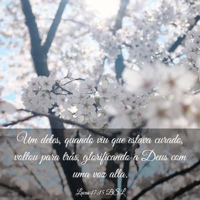 Picture 03 - Lucas 17:15 BSL - Um deles, quando viu que estava curado, voltou - Bible Verse Picture