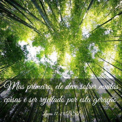 Picture 03 - Lucas 17:25 BSL - Mas primeiro, ele deve sofrer muitas coisas e ser - Bible Verse Picture