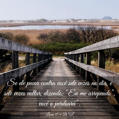 Picture 03 - Lucas 17:4 BSL - Se ele pecar contra você sete vezes no dia, e - Bible Verse Picture