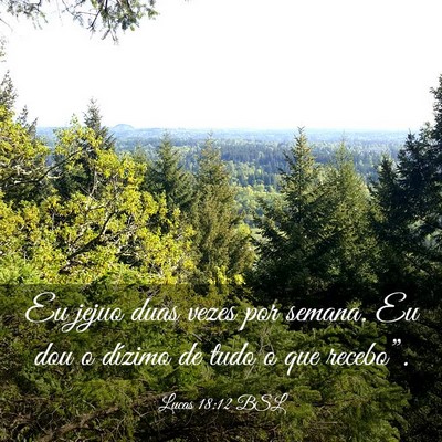 Picture 03 - Lucas 18:12 BSL - Eu jejuo duas vezes por semana. Eu dou o dízimo - Bible Verse Picture