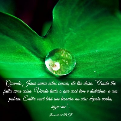 Picture 03 - Lucas 18:22 BSL - Quando Jesus ouviu estas coisas, ele lhe disse: - Bible Verse Picture