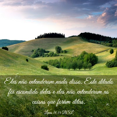 Picture 03 - Lucas 18:34 BSL - Eles não entenderam nada disso. Este ditado foi - Bible Verse Picture