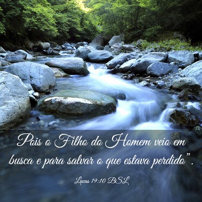 Picture 03 - Lucas 19:10 BSL - Pois o Filho do Homem veio em busca e para salvar - Bible Verse Picture