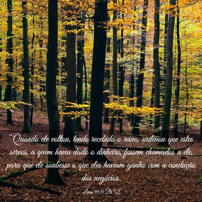 Picture 03 - Lucas 19:15 BSL - “Quando ele voltou, tendo recebido o reino, - Bible Verse Picture
