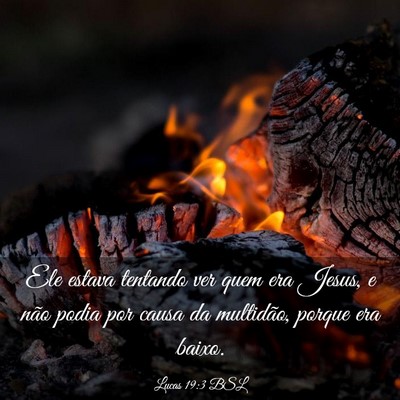 Picture 03 - Lucas 19:3 BSL - Ele estava tentando ver quem era Jesus, e não - Bible Verse Picture