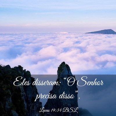 Picture 03 - Lucas 19:34 BSL - Eles disseram: “O Senhor precisa - Bible Verse Picture