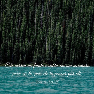 Picture 03 - Lucas 19:4 BSL - Ele correu na frente e subiu em um sicômoro para - Bible Verse Picture