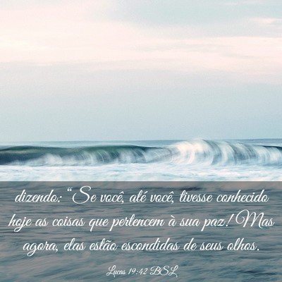 Picture 03 - Lucas 19:42 BSL - dizendo: “Se você, até você, tivesse - Bible Verse Picture