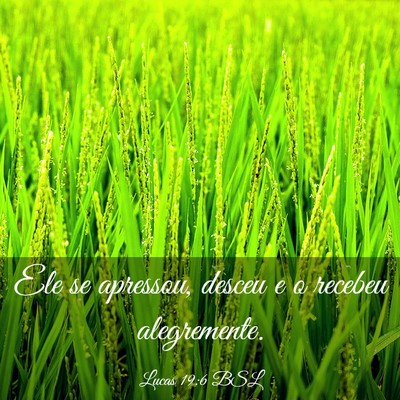 Picture 03 - Lucas 19:6 BSL - Ele se apressou, desceu e o recebeu - Bible Verse Picture