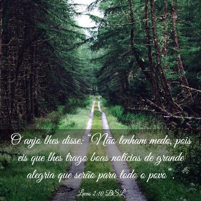 Picture 03 - Lucas 2:10 BSL - O anjo lhes disse: “Não tenham medo, pois eis - Bible Verse Picture