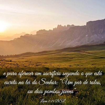 Picture 03 - Lucas 2:24 BSL - e para oferecer um sacrifício segundo o que - Bible Verse Picture