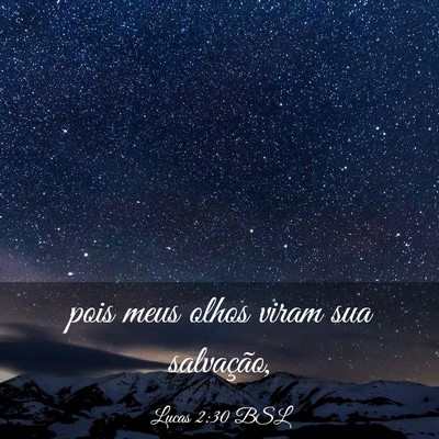 Picture 03 - Lucas 2:30 BSL - pois meus olhos viram sua - Bible Verse Picture