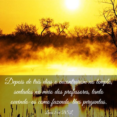 Picture 03 - Lucas 2:46 BSL - Depois de três dias o encontraram no templo, - Bible Verse Picture