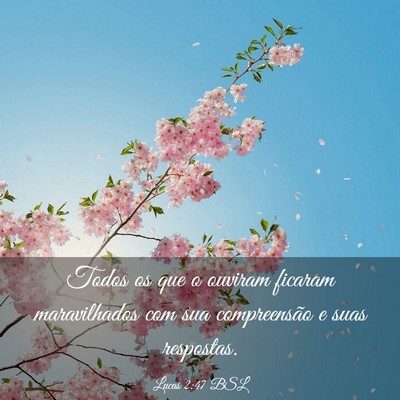 Picture 03 - Lucas 2:47 BSL - Todos os que o ouviram ficaram maravilhados com - Bible Verse Picture