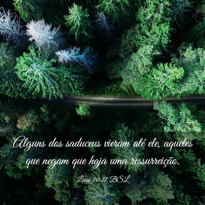Picture 03 - Lucas 20:27 BSL - Alguns dos saduceus vieram até ele, aqueles que - Bible Verse Picture