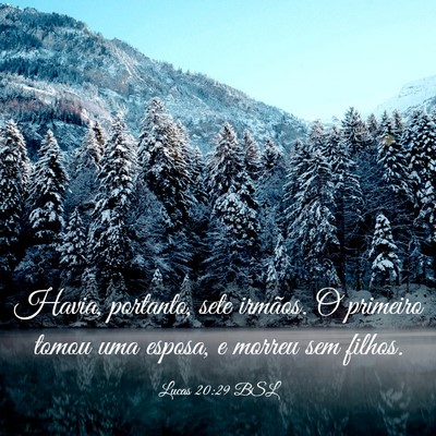 Picture 03 - Lucas 20:29 BSL - Havia, portanto, sete irmãos. O primeiro tomou - Bible Verse Picture