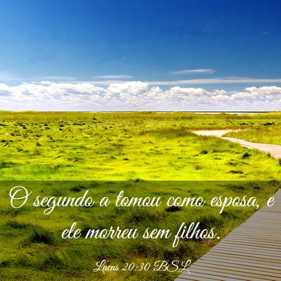 Picture 03 - Lucas 20:30 BSL - O segundo a tomou como esposa, e ele morreu sem - Bible Verse Picture