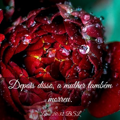 Picture 03 - Lucas 20:32 BSL - Depois disso, a mulher também - Bible Verse Picture