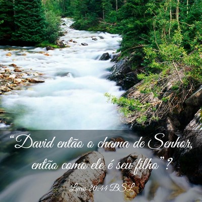 Picture 03 - Lucas 20:44 BSL - “David então o chama de Senhor, então como - Bible Verse Picture