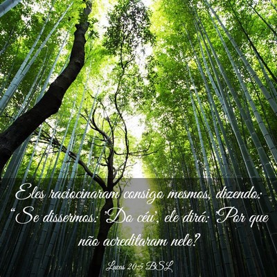 Picture 03 - Lucas 20:5 BSL - Eles raciocinaram consigo mesmos, dizendo: “Se - Bible Verse Picture