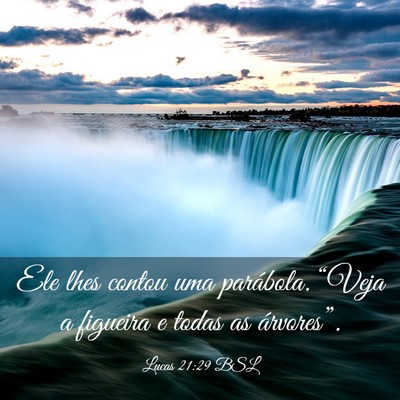 Picture 03 - Lucas 21:29 BSL - Ele lhes contou uma parábola. “Veja a figueira - Bible Verse Picture